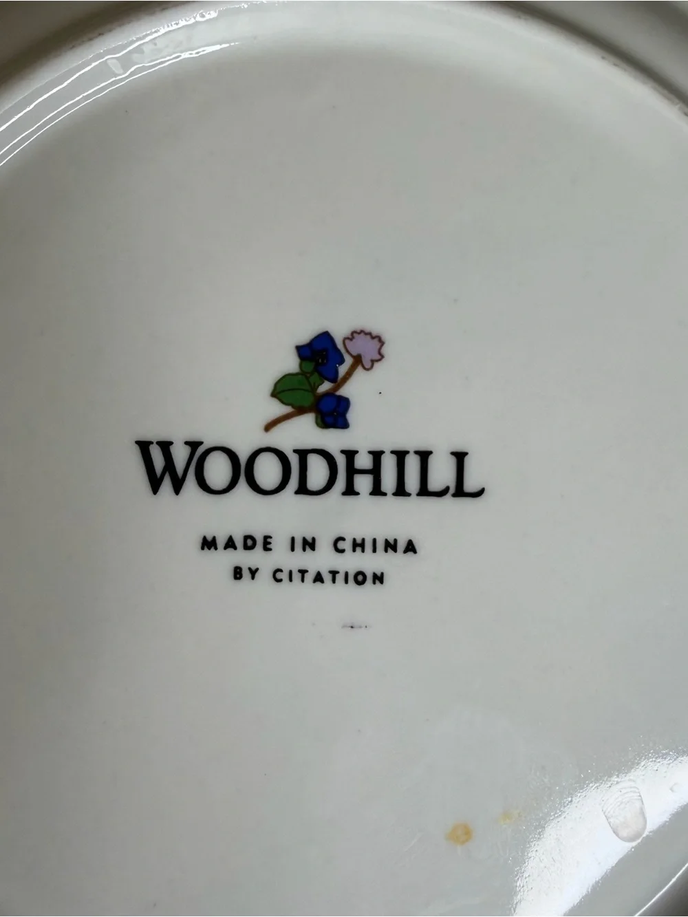 Woodhill floral Vine Pattern White Porcelain Dinner Plate - Yellow & Blue